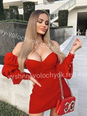 Ариша — Вышний Волочёк